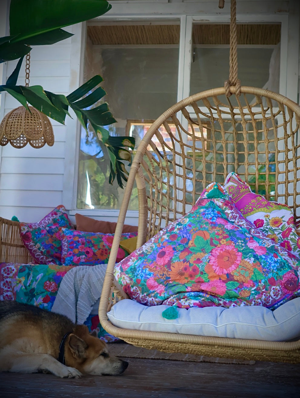 Nights in Nirvana - Euro Pillow Case